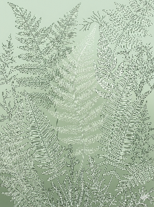 Botanical tropical leaf study illustration